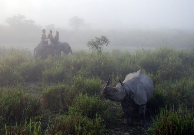 Εργάτες σε φυτεία τσαγιού στην Ινδία έκαψαν ζωντανό το διευθυντή τους